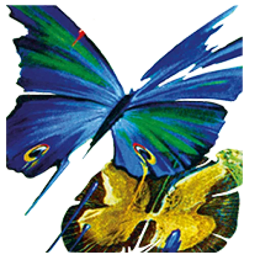 cropped-Logo.png Logo-Schmetterling